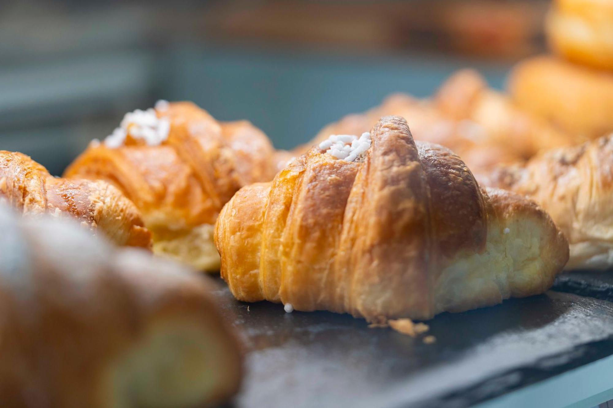 Montecristo B&B Grosseto Zewnętrze zdjęcie